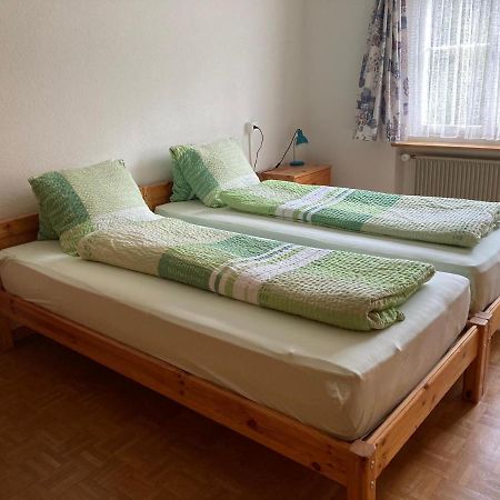 Chalet Wildbach Αντελμπόντεν Εξωτερικό φωτογραφία