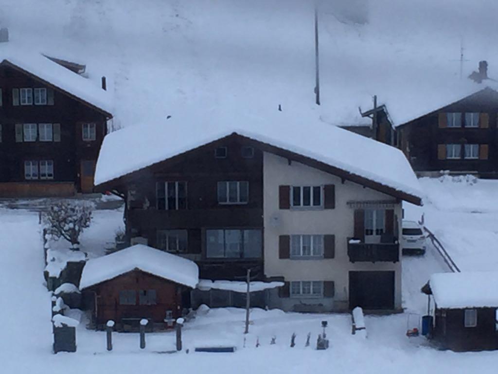 Chalet Wildbach Αντελμπόντεν Εξωτερικό φωτογραφία