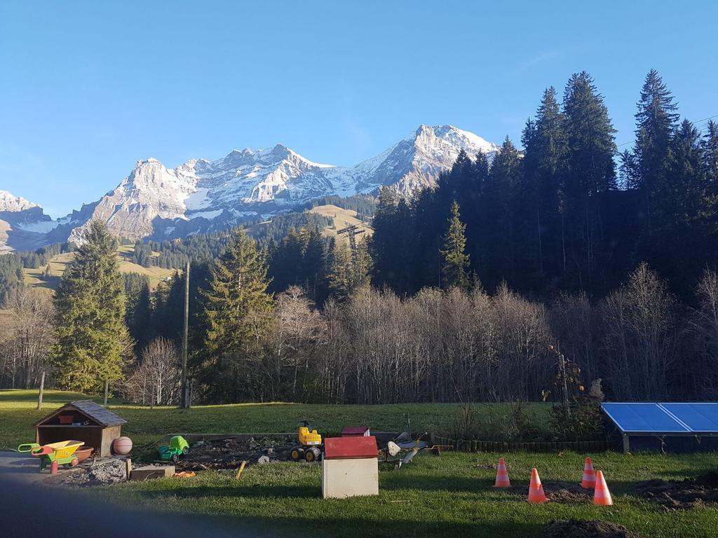 Chalet Wildbach Αντελμπόντεν Εξωτερικό φωτογραφία